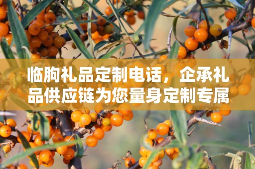 临朐礼品定制电话，企承礼品供应链为您量身定制专属礼品